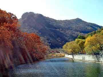 新澳天天开奖资料大全旅游团，晋中seo论坛